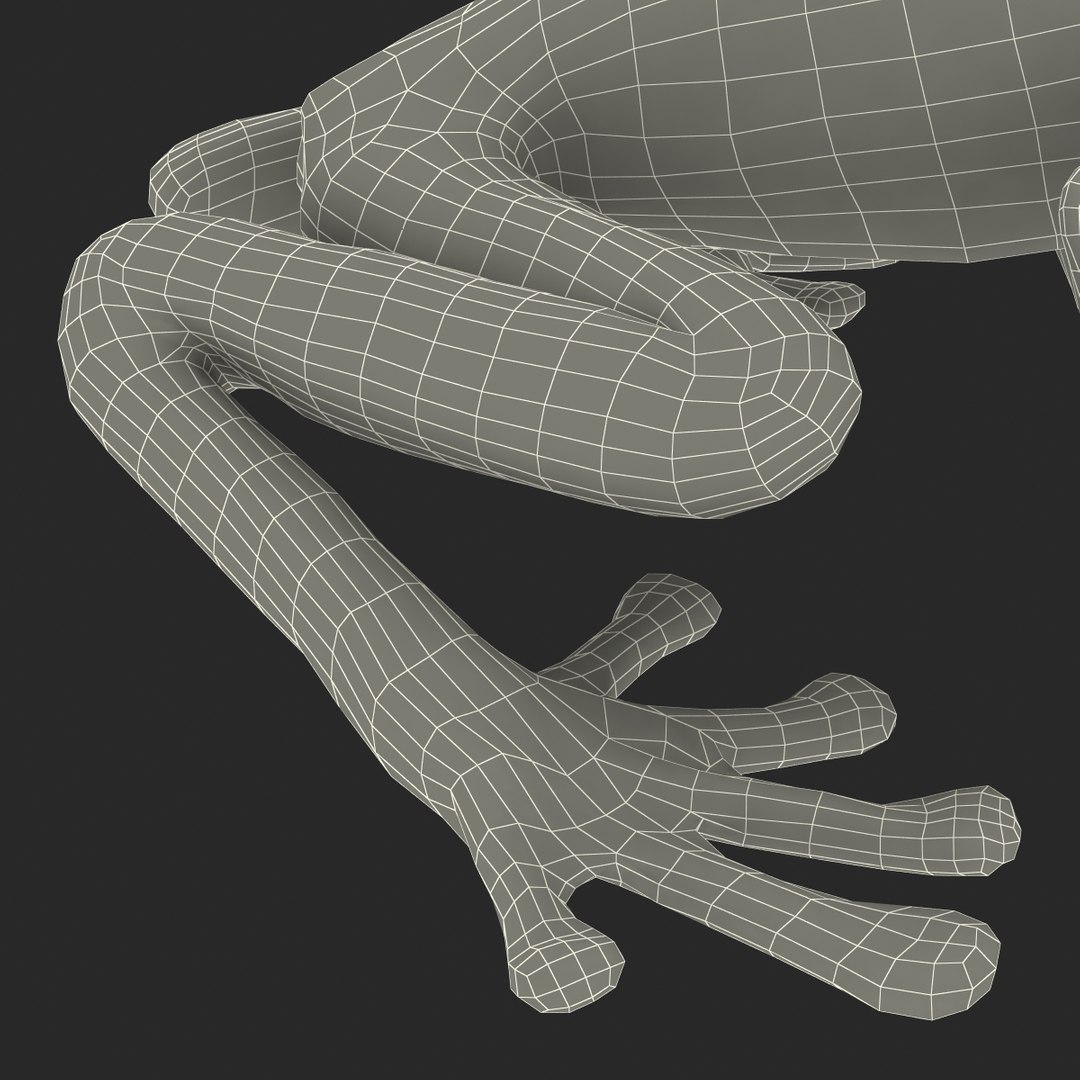 3d max tree frog rigged https://p.turbosquid.com/ts-thumb/Vc/UB9IPC/eGomzMXS/treefrogrigged3dmodel65/jpg/1455010141/1920x1080/fit_q87/70840725c1df7d3d1800b686aaf2033d622b2794/treefrogrigged3dmodel65.jpg
