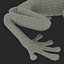 Tree Frog Rigged
