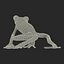 Tree Frog Rigged