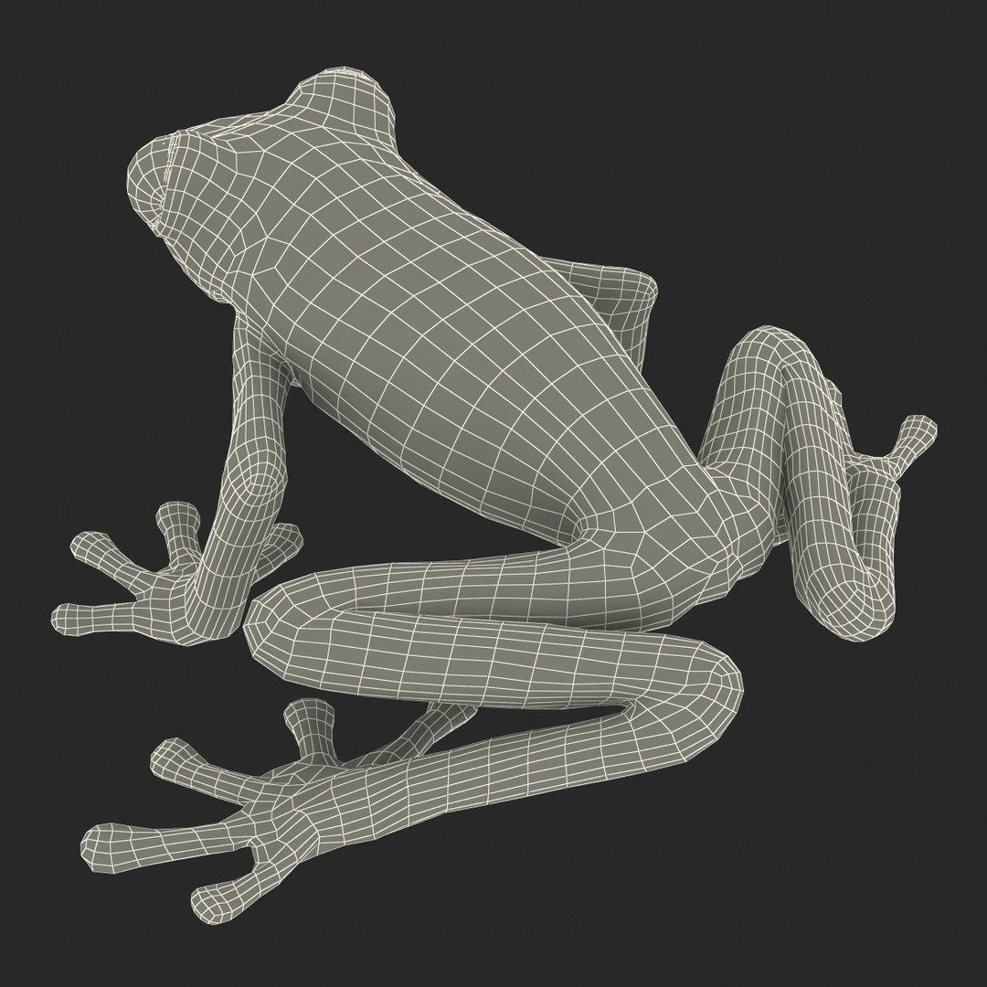 3d max tree frog rigged https://p.turbosquid.com/ts-thumb/Vc/UB9IPC/jGF0PRsK/treefrogrigged3dmodel51/jpg/1455010140/1920x1080/fit_q87/77a2cbbfcbbaa6569b4fa862e4b1f66fdebb6d96/treefrogrigged3dmodel51.jpg