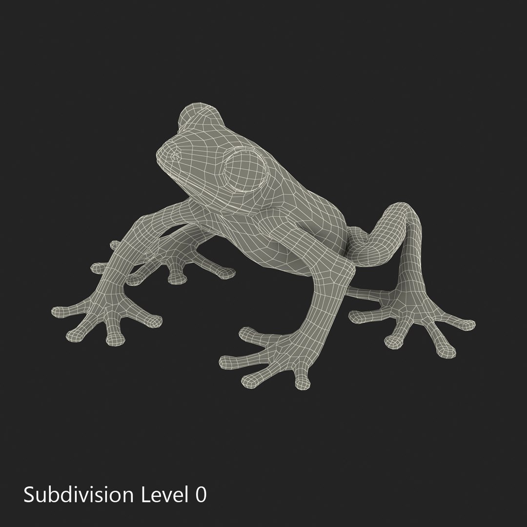 3d max tree frog rigged https://p.turbosquid.com/ts-thumb/Vc/UB9IPC/jGzrKRr6/treefrogrigged3dmodel42/jpg/1455010139/1920x1080/fit_q87/bc968fd4080aee23a5fbe87df59676dcf702c7b7/treefrogrigged3dmodel42.jpg