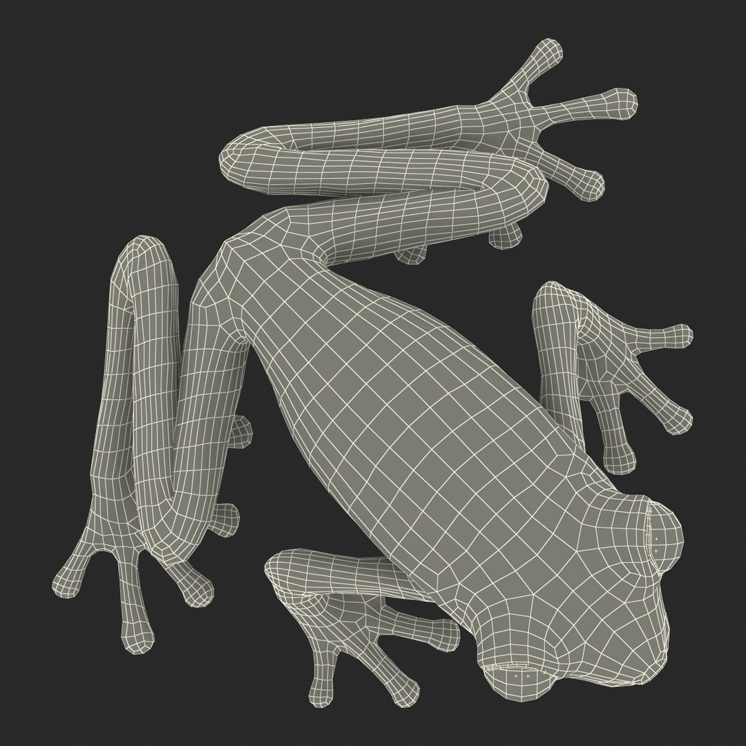 3d max tree frog rigged https://p.turbosquid.com/ts-thumb/Vc/UB9IPC/jrqih3a7/treefrogrigged3dmodel49/jpg/1455010140/1920x1080/fit_q87/8936023676299f61ebfd6da8532c4d22b19a6739/treefrogrigged3dmodel49.jpg