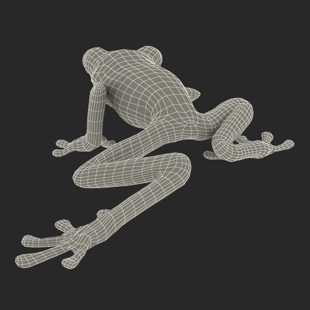 3d max tree frog rigged https://p.turbosquid.com/ts-thumb/Vc/UB9IPC/lQQXYluQ/treefrogrigged3dmodel53/jpg/1455010140/1920x1080/fit_q87/7969c472babd6416ef5c8c80caf9b464743700ad/treefrogrigged3dmodel53.jpg