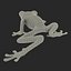 Tree Frog Rigged