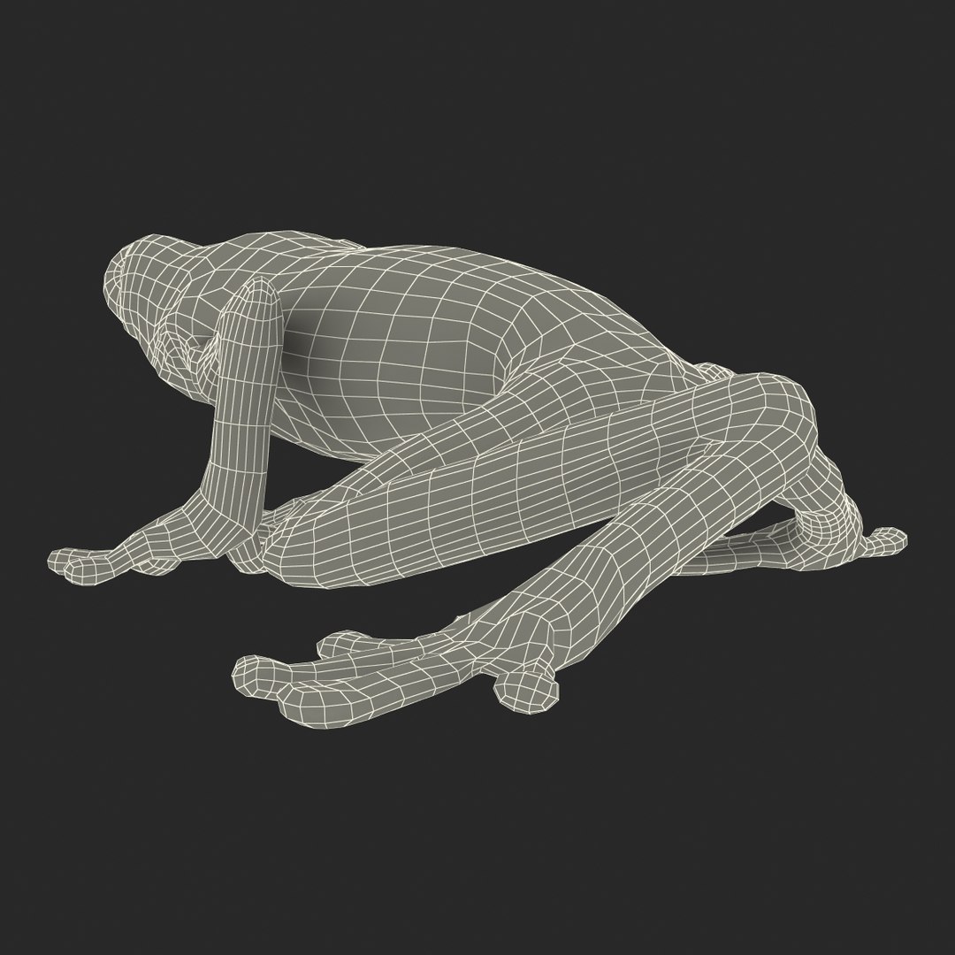 3d max tree frog rigged https://p.turbosquid.com/ts-thumb/Vc/UB9IPC/lculRzS4/treefrogrigged3dmodel55/jpg/1455010140/1920x1080/fit_q87/bd2792841dd865c1f2f9222ed06c9ca47b741895/treefrogrigged3dmodel55.jpg