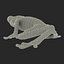 Tree Frog Rigged