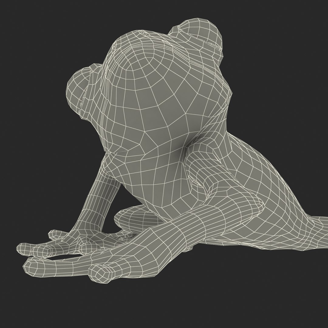 3d max tree frog rigged https://p.turbosquid.com/ts-thumb/Vc/UB9IPC/m3SBFy60/treefrogrigged3dmodel67/jpg/1455010141/1920x1080/fit_q87/6518c60ed223705b7a3a127559c9312c2eb97ca9/treefrogrigged3dmodel67.jpg