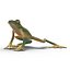 Tree Frog Rigged