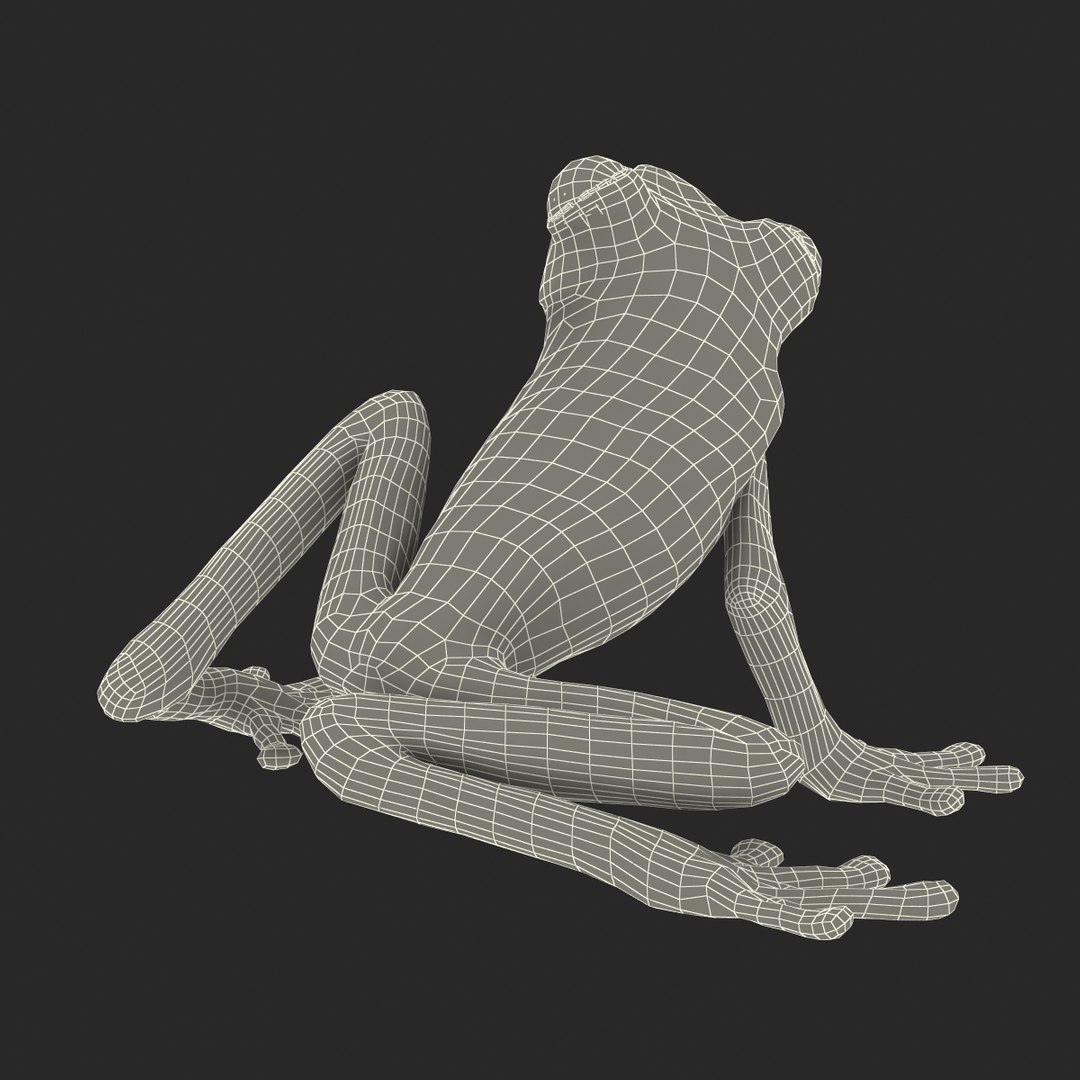 3d max tree frog rigged https://p.turbosquid.com/ts-thumb/Vc/UB9IPC/nMyzsAb9/treefrogrigged3dmodel62/jpg/1455010141/1920x1080/fit_q87/154324536eecf2a75b6b85c8dc5543df65259987/treefrogrigged3dmodel62.jpg