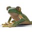 Tree Frog Rigged