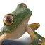 Tree Frog Rigged