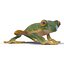 Tree Frog Rigged