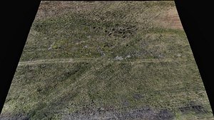landscape grass field large area 180m part5 drone scan 3D model
