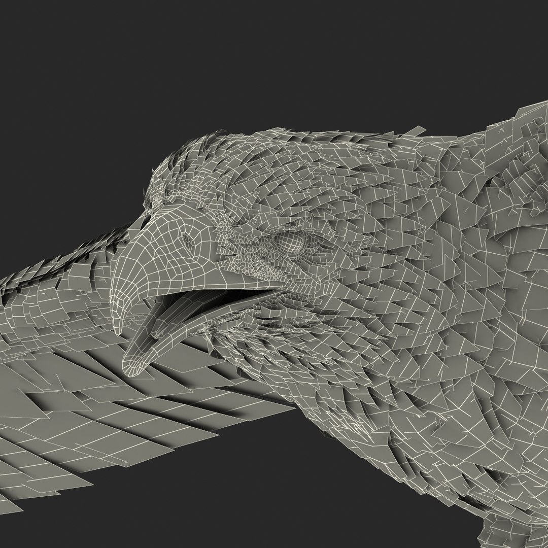 bald eagle pose 7 3d model https://p.turbosquid.com/ts-thumb/Vc/dvYjVV/E59xUvGj/3dmodelofbaldeagle35/jpg/1447747376/1920x1080/fit_q87/d5a11af13d0c76c00efd59713107f421c0b3170d/3dmodelofbaldeagle35.jpg