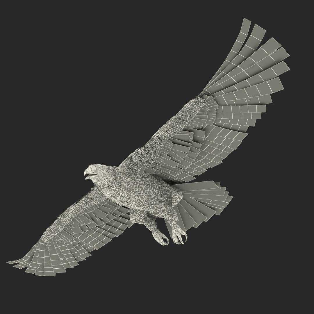 bald eagle pose 7 3d model https://p.turbosquid.com/ts-thumb/Vc/dvYjVV/J921F70P/3dmodelofbaldeagle29/jpg/1447747376/1920x1080/fit_q87/1ca018662a0bfd32e628730de3825c9ac35b29fa/3dmodelofbaldeagle29.jpg