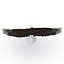 Bald Eagle Pose 7 3D Model