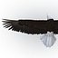 Bald Eagle Pose 7 3D Model