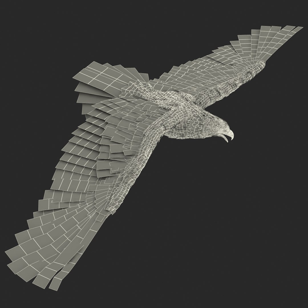 bald eagle pose 7 3d model https://p.turbosquid.com/ts-thumb/Vc/dvYjVV/SrLxLNkZ/3dmodelofbaldeagle26/jpg/1447747375/1920x1080/fit_q87/f934f5447a481711412c52d3213b0fb74b1dbbaa/3dmodelofbaldeagle26.jpg