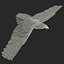 Bald Eagle Pose 7 3D Model