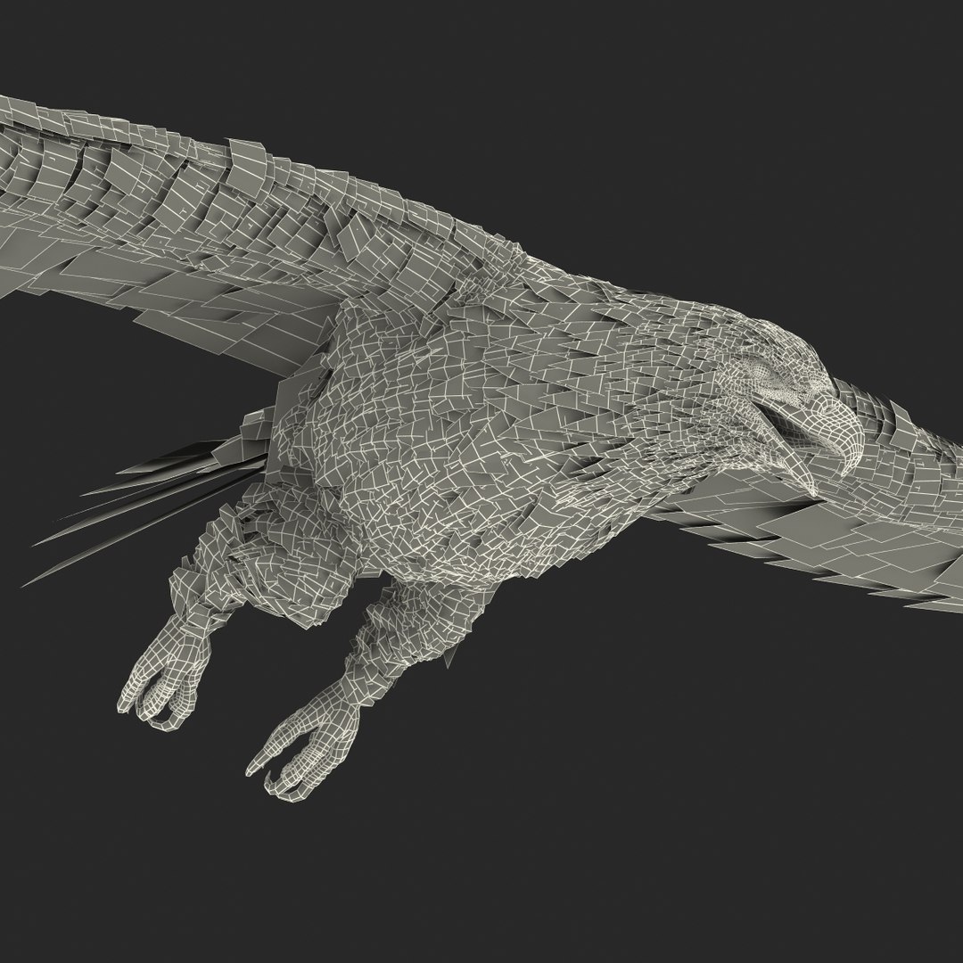 bald eagle pose 7 3d model https://p.turbosquid.com/ts-thumb/Vc/dvYjVV/UqgDyemI/3dmodelofbaldeagle30/jpg/1447747376/1920x1080/fit_q87/7f5f5e5c8917eeba49b18d75b0d6986ade434026/3dmodelofbaldeagle30.jpg