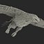 Bald Eagle Pose 7 3D Model