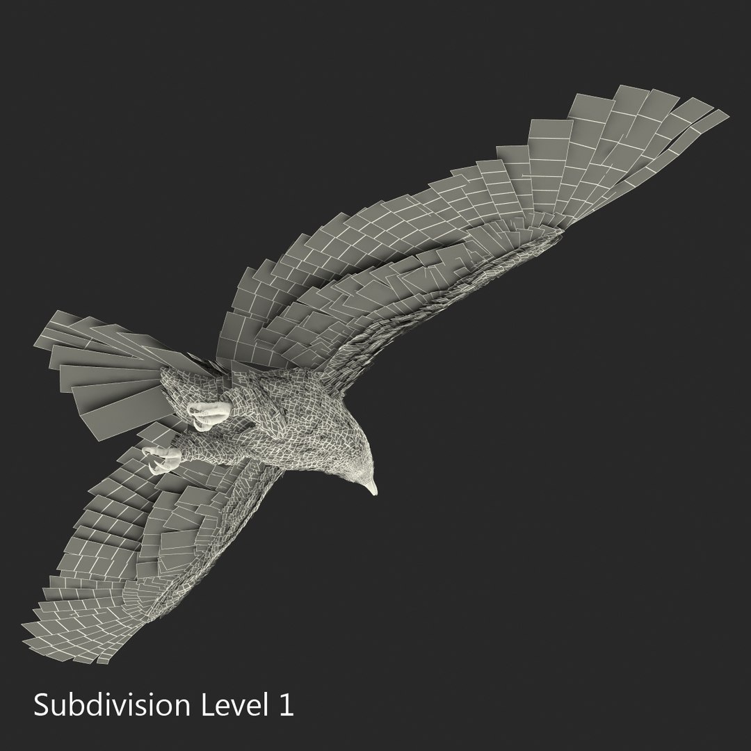 bald eagle pose 7 3d model https://p.turbosquid.com/ts-thumb/Vc/dvYjVV/gF0eZLrh/3dmodelofbaldeagle20/jpg/1447747375/1920x1080/fit_q87/9619fb5e13a83f0fa3c297c48b53badd5213cce9/3dmodelofbaldeagle20.jpg