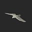 Bald Eagle Pose 7 3D Model