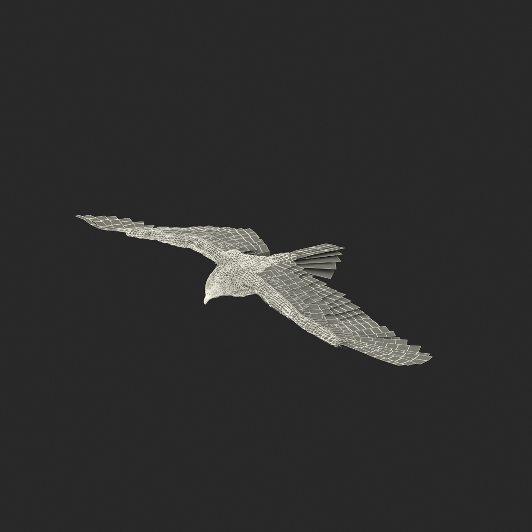 bald eagle pose 7 3d model https://p.turbosquid.com/ts-thumb/Vc/dvYjVV/mauO1sg5/imperial_eagle_pose_6_361/jpg/1447747561/1920x1080/turn_fit_q99/98375798577fa3cdd62275a97fa52b47a7e3929f/imperial_eagle_pose_6_361-1.jpg