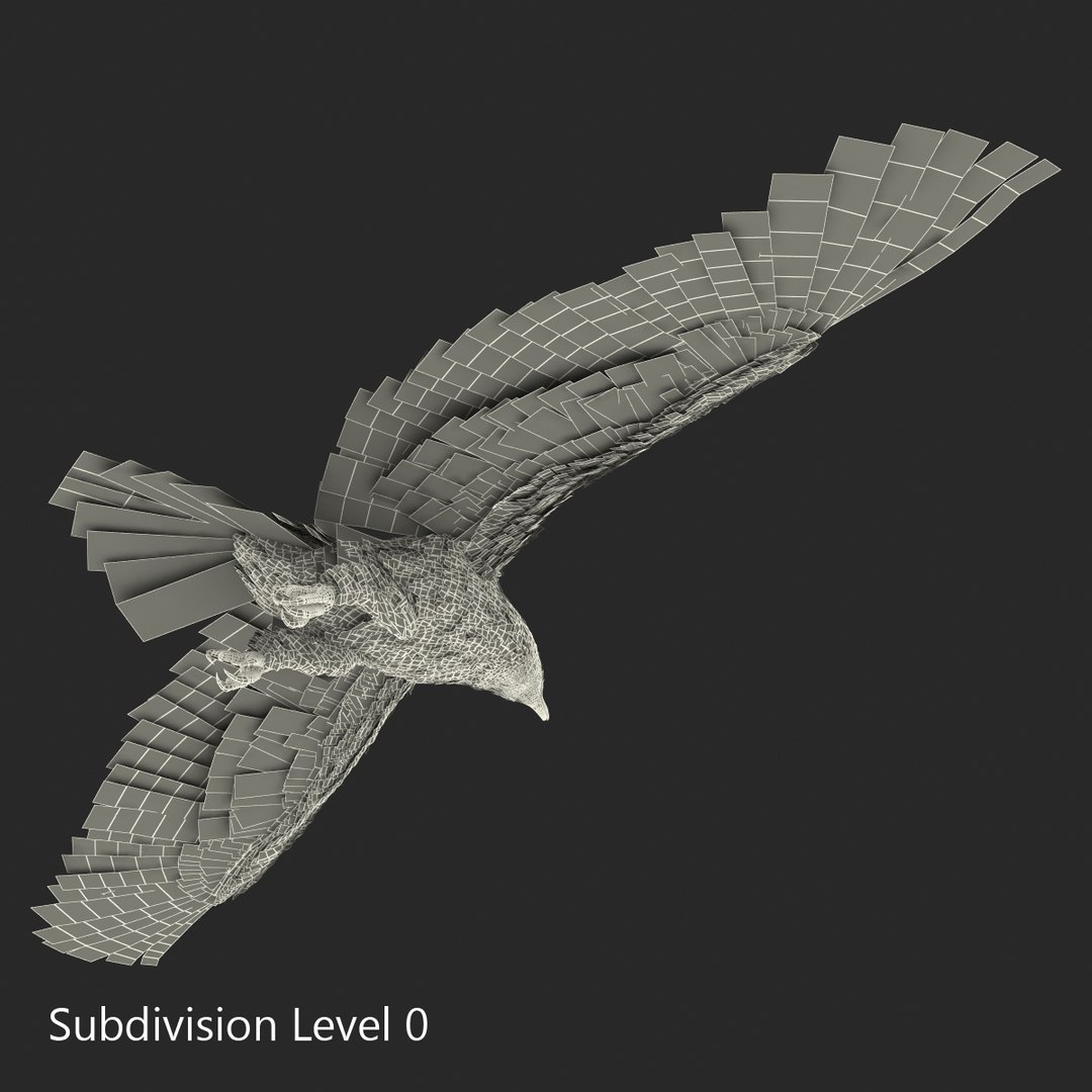 bald eagle pose 7 3d model https://p.turbosquid.com/ts-thumb/Vc/dvYjVV/neppDgis/3dmodelofbaldeagle19/jpg/1447747375/1920x1080/fit_q87/4e43308ddb7d38c10fa164e20f798d04cf4f9926/3dmodelofbaldeagle19.jpg