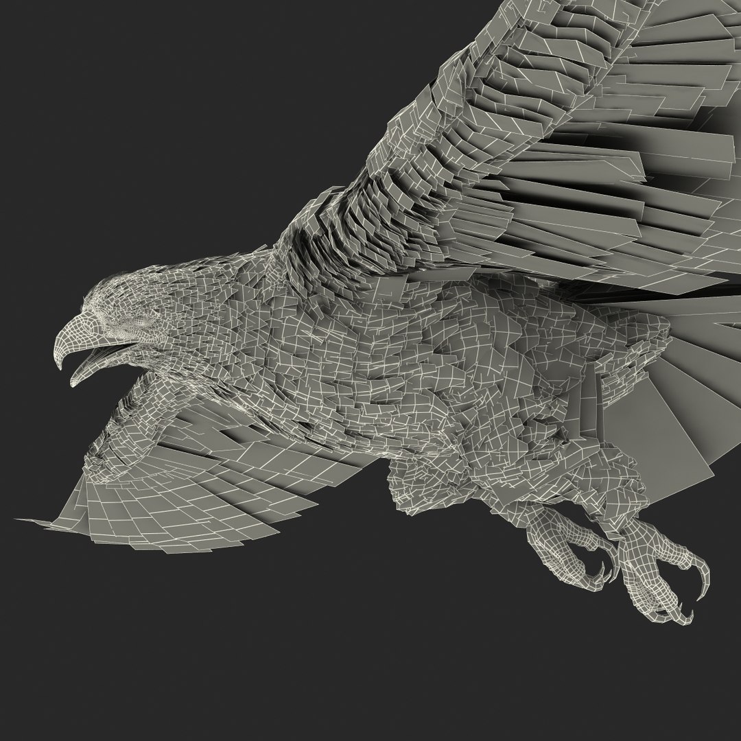 bald eagle pose 7 3d model https://p.turbosquid.com/ts-thumb/Vc/dvYjVV/qWv3kaWn/3dmodelofbaldeagle31/jpg/1447747376/1920x1080/fit_q87/d1295c12532bdc8ed63409bc4c3438f3845c3475/3dmodelofbaldeagle31.jpg