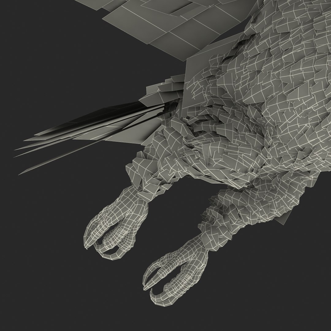 bald eagle pose 7 3d model https://p.turbosquid.com/ts-thumb/Vc/dvYjVV/uyjHCXS4/3dmodelofbaldeagle33/jpg/1447747376/1920x1080/fit_q87/76d852ac2aa93bc1da3ff4596442ef503a8d7f3e/3dmodelofbaldeagle33.jpg