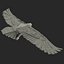 Bald Eagle Pose 7 3D Model