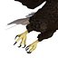 Bald Eagle Pose 7 3D Model