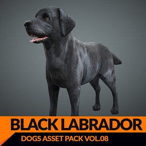 model s dog labrador black