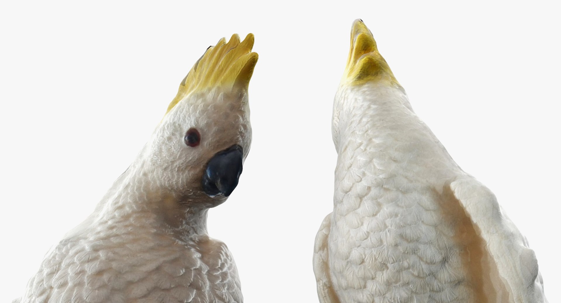 parrot statuette 3D model https://p.turbosquid.com/ts-thumb/Vc/kk1OFq/rycGYWJo/statuette_of_a_parrot_005/jpg/1518789446/1920x1080/fit_q87/58df7836c11db821eaf3ed7458aa99d86f426f20/statuette_of_a_parrot_005.jpg