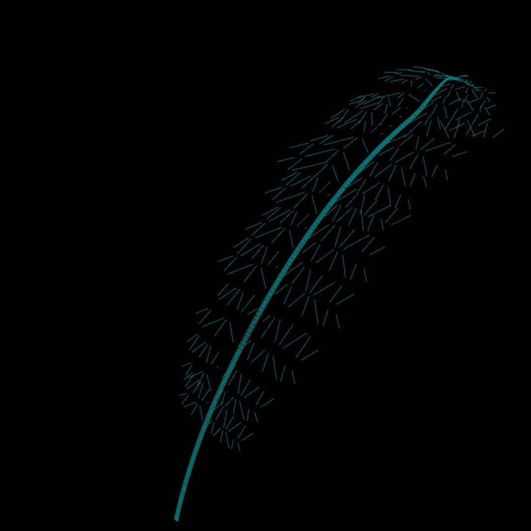 christmas fern scanned 3D https://p.turbosquid.com/ts-thumb/Vc/lmOkpR/UO7JEZMk/christmasfern7/jpg/1569438897/1920x1080/fit_q87/7b59273e69c65add2c6a6a7c436bd8b246062944/christmasfern7.jpg