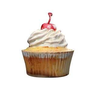 Muffin 14 3D model