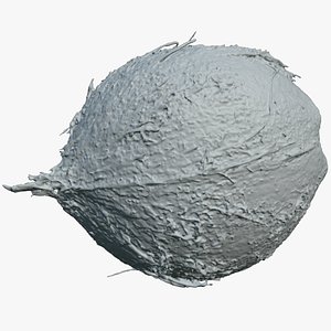 Coconut 02 - For 3D Print 3D