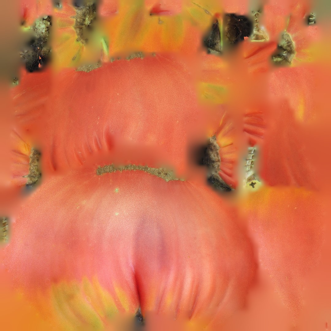 tomato 3ds https://p.turbosquid.com/ts-thumb/Vd/5PrH4F/j8zFR7cT/3ds_f_7360_v_3680/jpg/1439368591/1920x1080/fit_q87/23d802b92d0ebe5999282880a489f886c6366c27/3ds_f_7360_v_3680.jpg