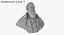 Charles Darwin Bust