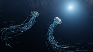 Rigged and animated jellyfish 3D