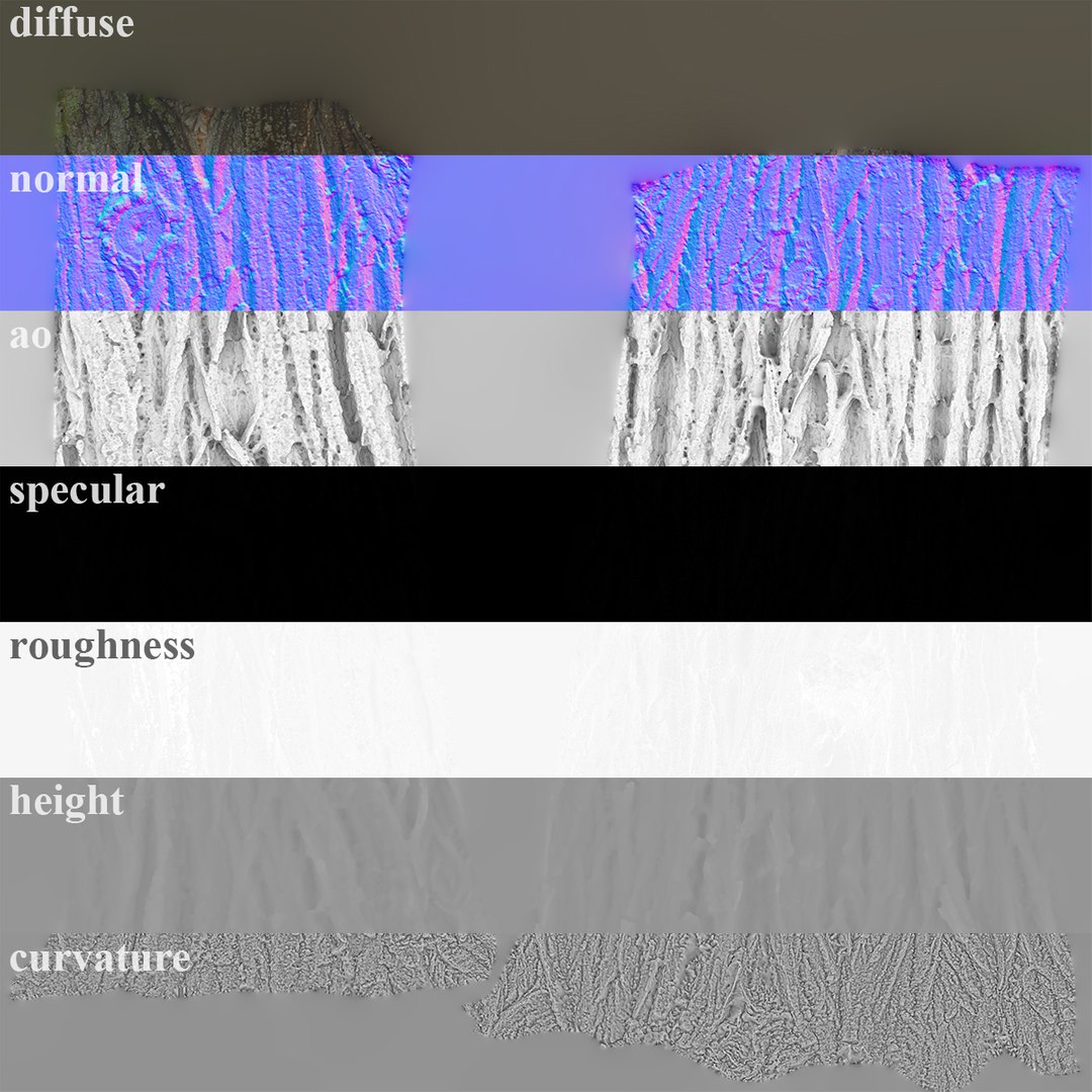 3D Black poplar trunk scan PBR 8K https://p.turbosquid.com/ts-thumb/Vd/IENXKz/Q3/black_poplar04/jpg/1730111855/1920x1080/fit_q87/e37d0ced495fe6d725d562b5dc8e49436b36e7fe/black_poplar04.jpg