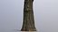 Black poplar trunk scan PBR 8K