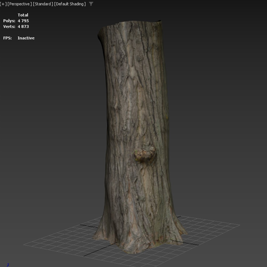 3D Black poplar trunk scan PBR 8K https://p.turbosquid.com/ts-thumb/Vd/IENXKz/uP/black_poplar02/jpg/1730111854/1920x1080/fit_q87/b75c26b26758a8e9e11c65e6a3ba9afc11191be8/black_poplar02.jpg