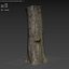 Black poplar trunk scan PBR 8K