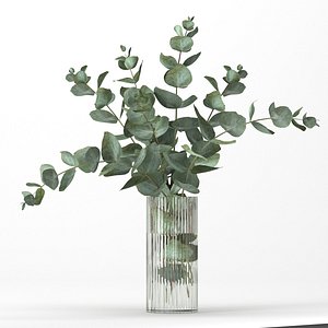 bouquet eucalyptus branches 3D