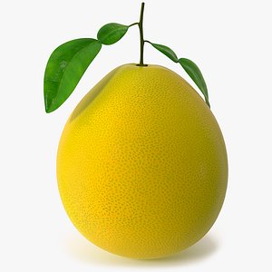 3D Pomelo Citrus Fruit Yellow model