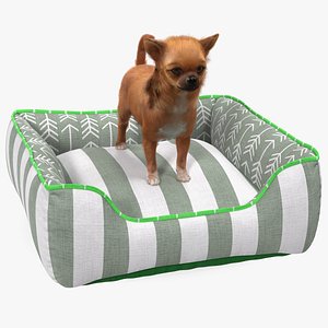Chihuahua in Dog Bed with Fur
