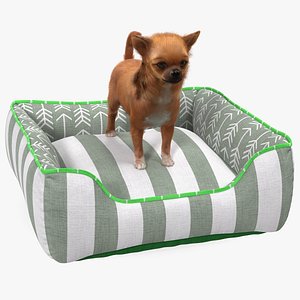 Chihuahua in Dog Bed with Fur