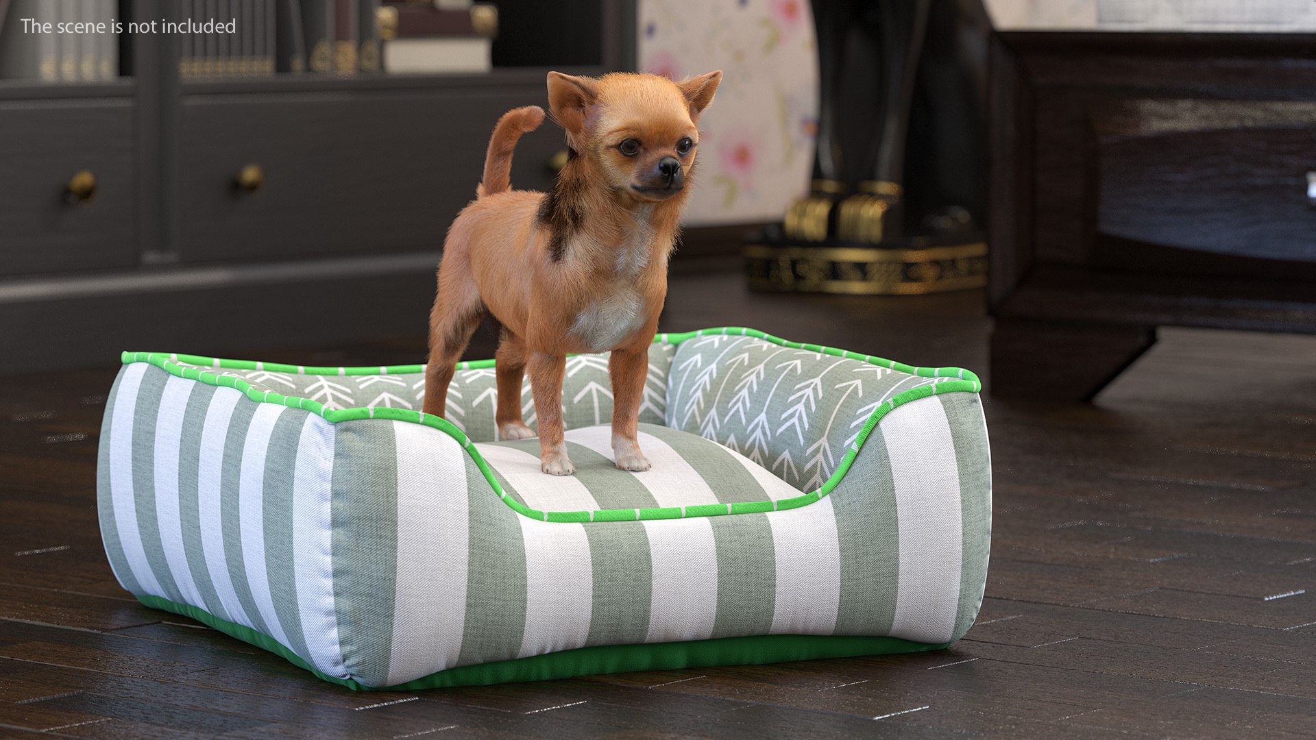 Chihuahua in Dog Bed with Fur 3D model preview